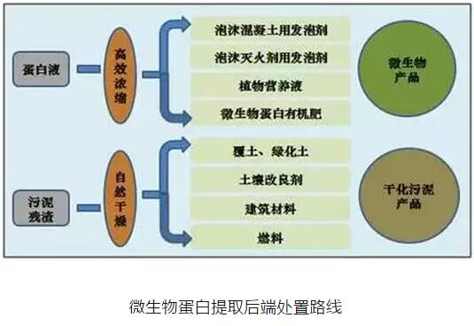 污泥處理處置市場不斷擴大 什么才是主流技術？